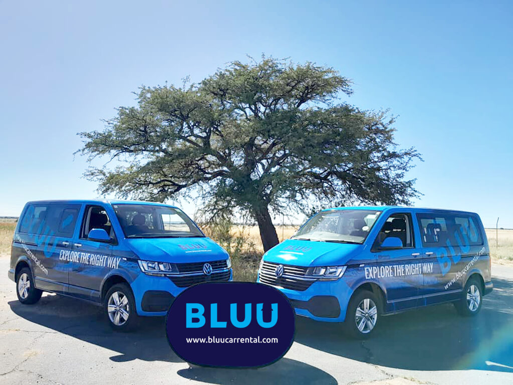 Car Hire In South Africa Bluu Car Rental